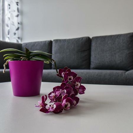 Mardi Downtown Apartment 탈린 외부 사진