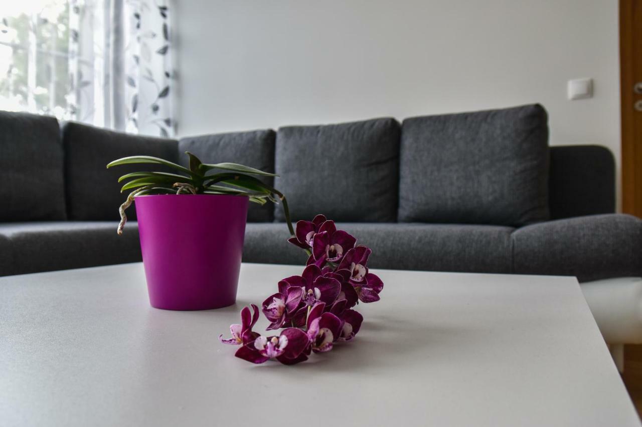 Mardi Downtown Apartment 탈린 외부 사진